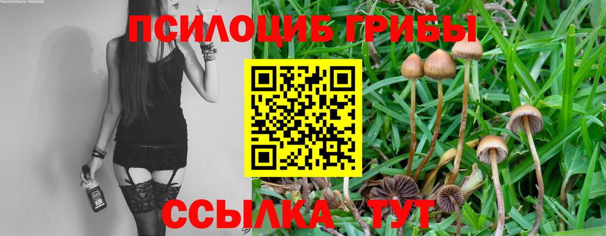 Псилоцибиновые грибы MAGIC MUSHROOMS  Галлюциногенные грибы Magic Shrooms  Каменка  Вход с VPN 