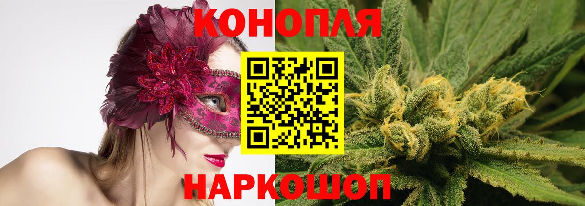 Каменка  Каннабис ГИДРОПОН  Канабис OG Kush  Вход с VPN  Канабис планчик  Бошки Шишки MAZAR 